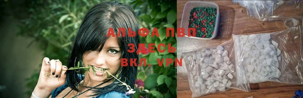 сатива Михайловск