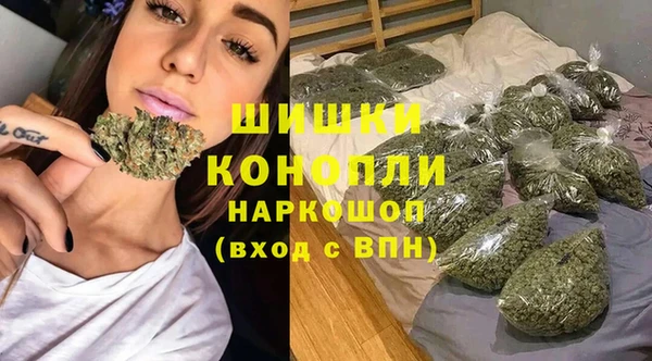 сатива Михайлов
