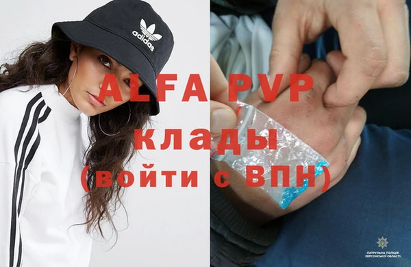 сатива Михайловск