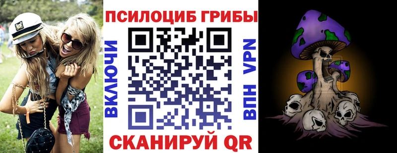 Галлюциногенные грибы Psilocybe  Купить  Могоча 
