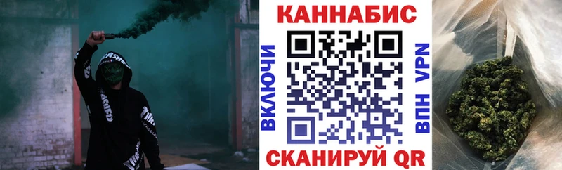 Купить закладки  Могоча  Бошки марихуана сатива 